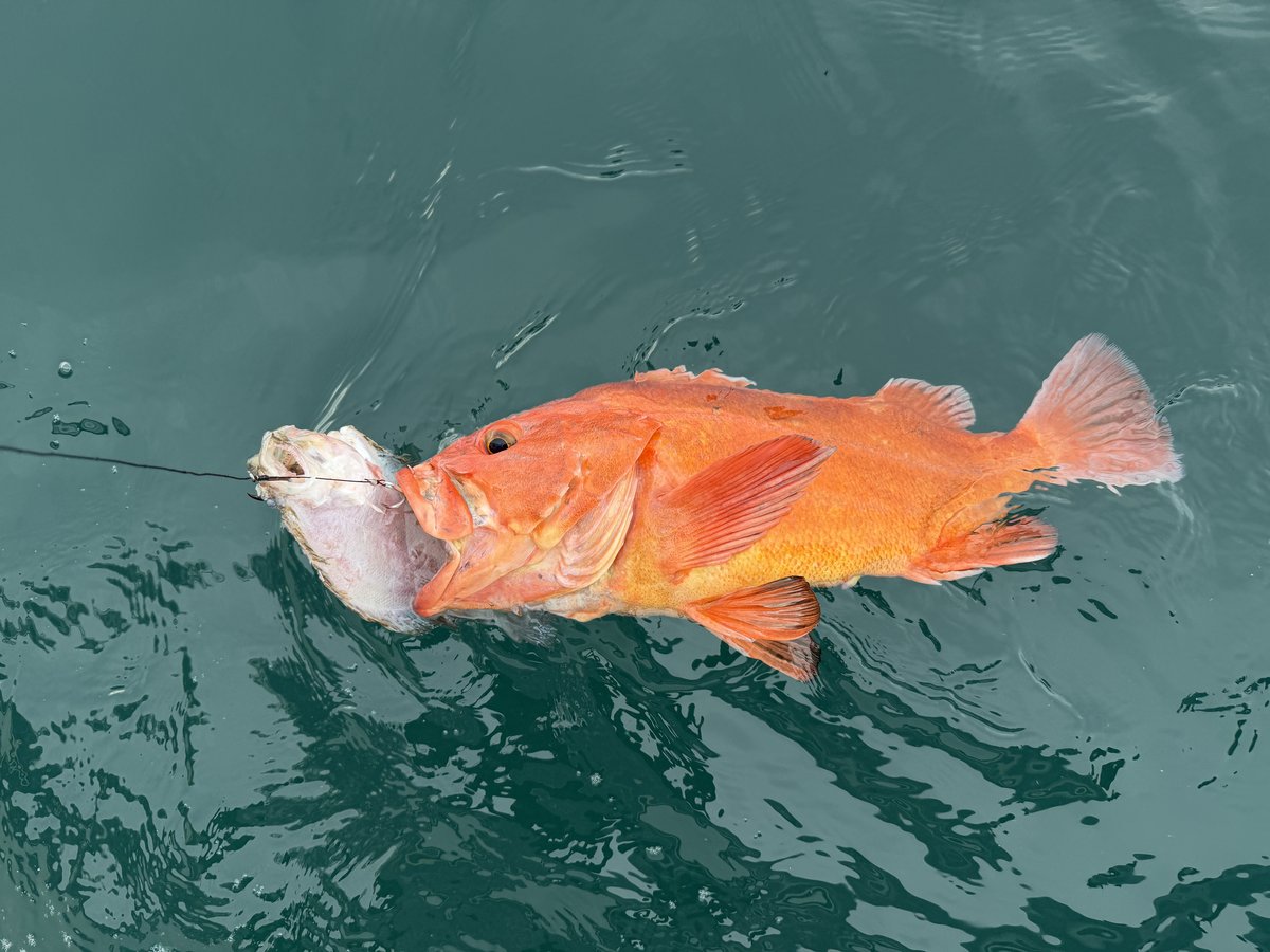 Catch photo by Cory Fiala at Coos Bay