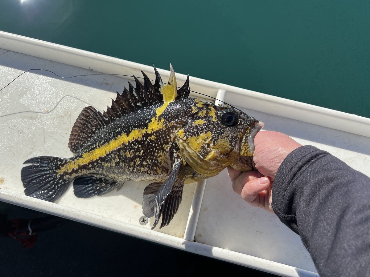 Catch photo by Cory Fiala at Coos Bay