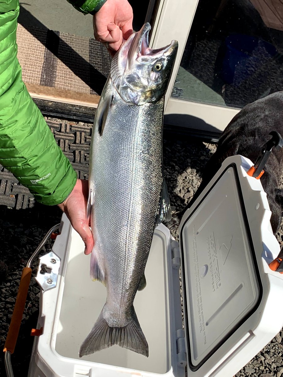 Catch photo by Cory at Umpqua River